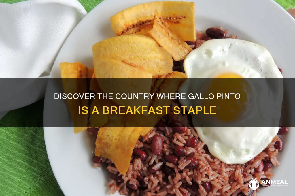 which country has a typical breakfast of gallo pinto