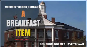 Georgia's Unique County Named After a Breakfast Food Favorite