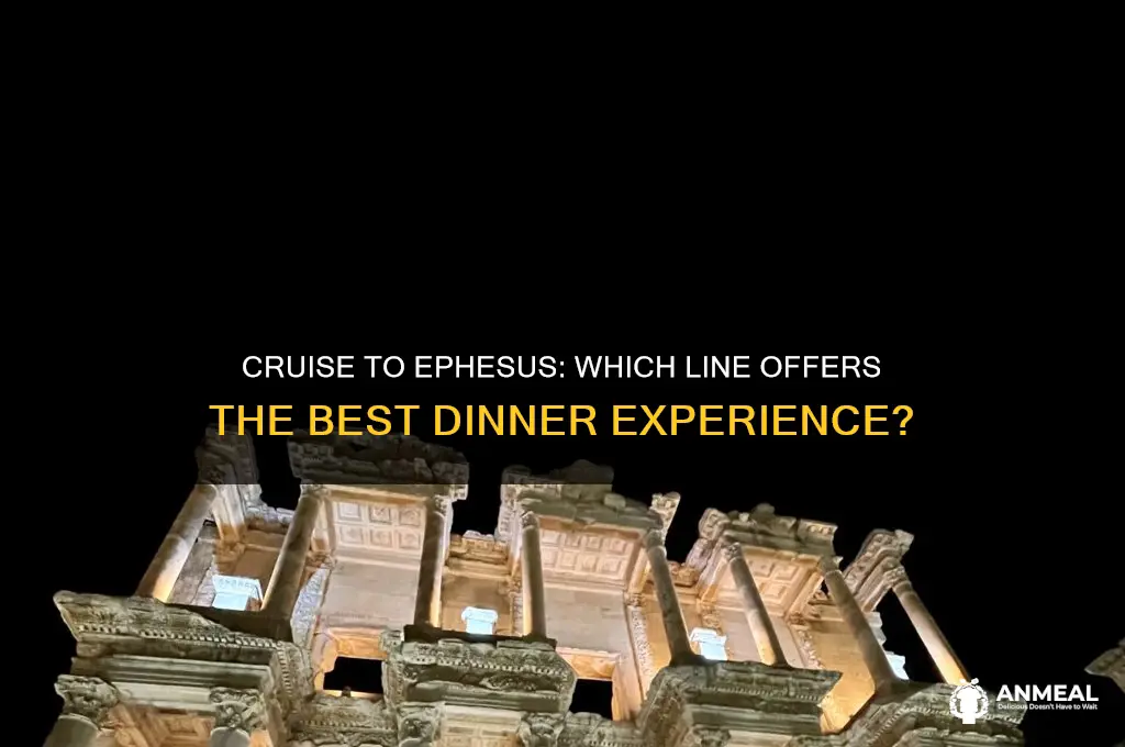 which cruise includes ephesus dinner