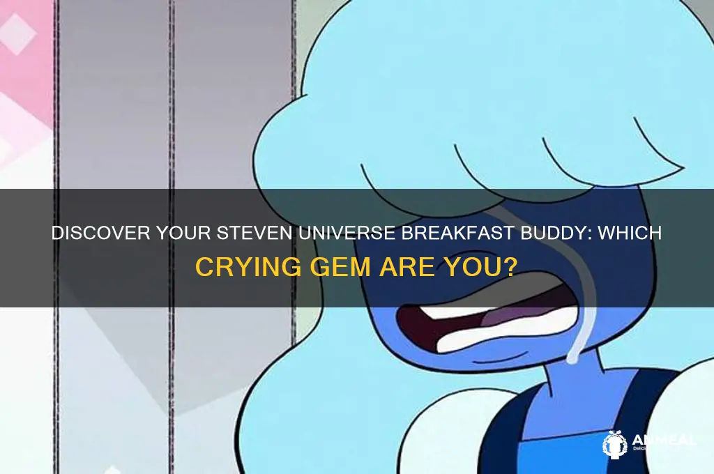 which crying breakfast friend are you steven universe