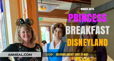 Princess Breakfast at Disneyland: Days, Times, and Magical Experiences
