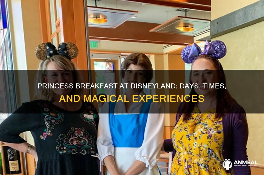 which days princess breakfast disneyland