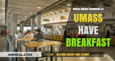UMass Dining Commons Breakfast Guide: Where to Start Your Day