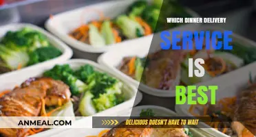 Top Dinner Delivery Services Compared: Which One Suits You Best?