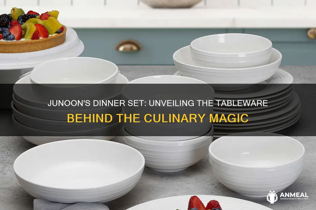 which dinner set junoon use