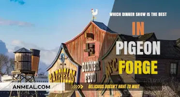 Pigeon Forge's Top Dinner Shows: A Guide to the Best Experience