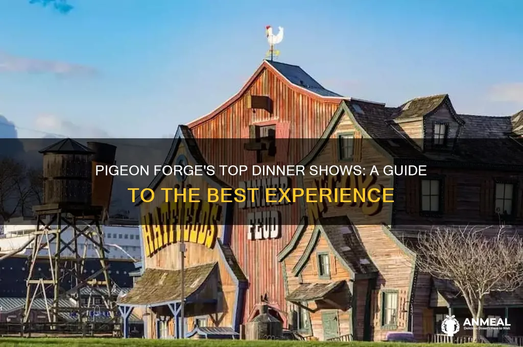which dinner show is the best in pigeon forge