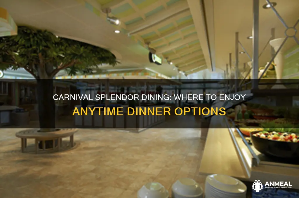 which dinning room has anytime dinner on the carnival splendor