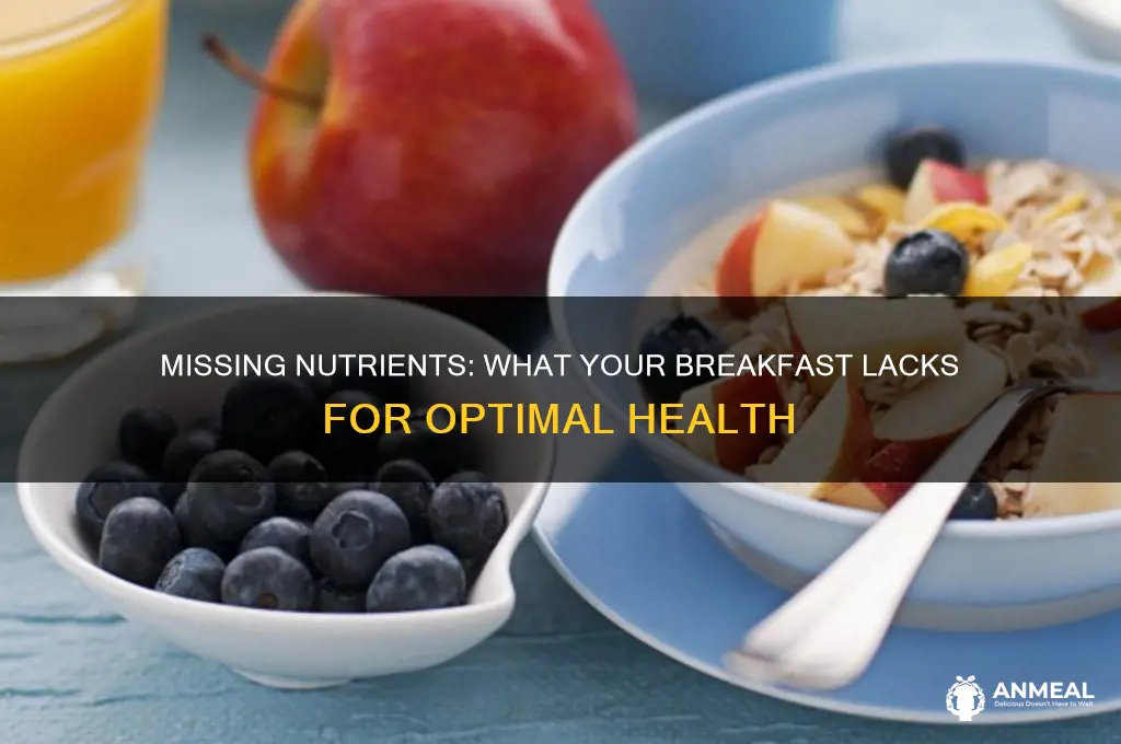 which essential ingredients of a nutritious breakfast are missing