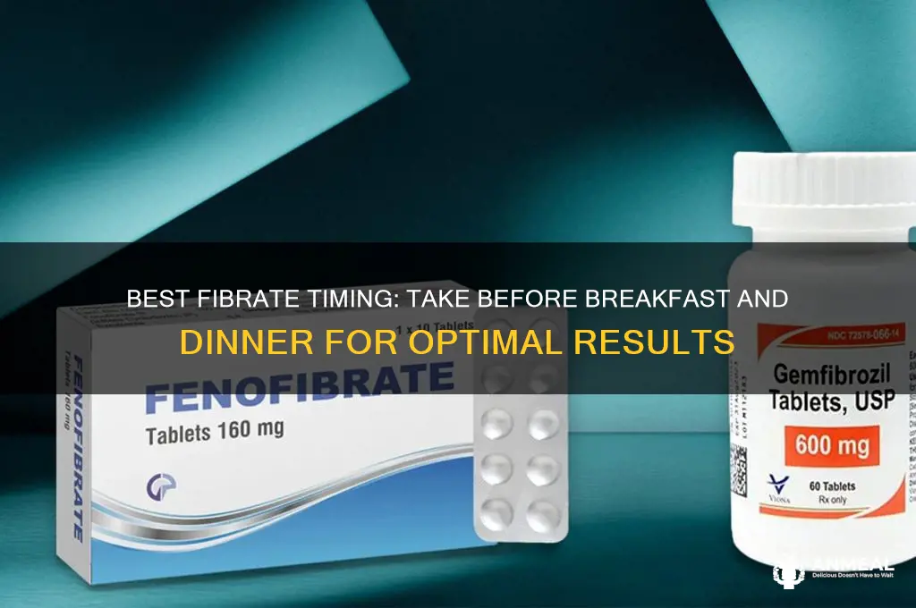which fibrate take before breakfast and dinner