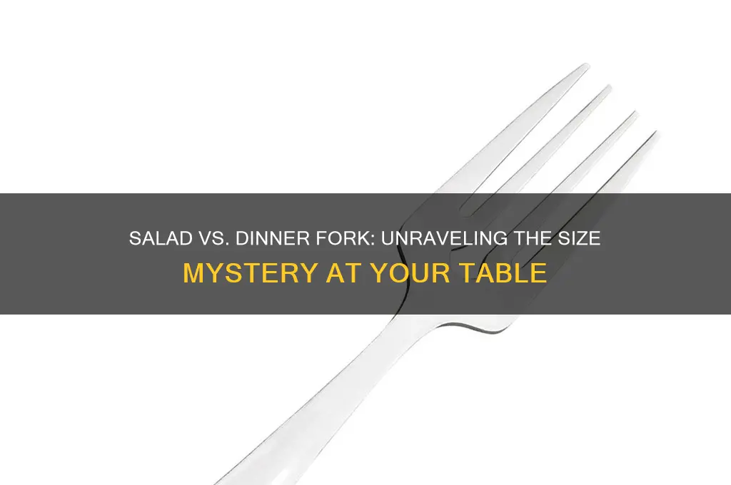 which fork is bigger salad or dinner