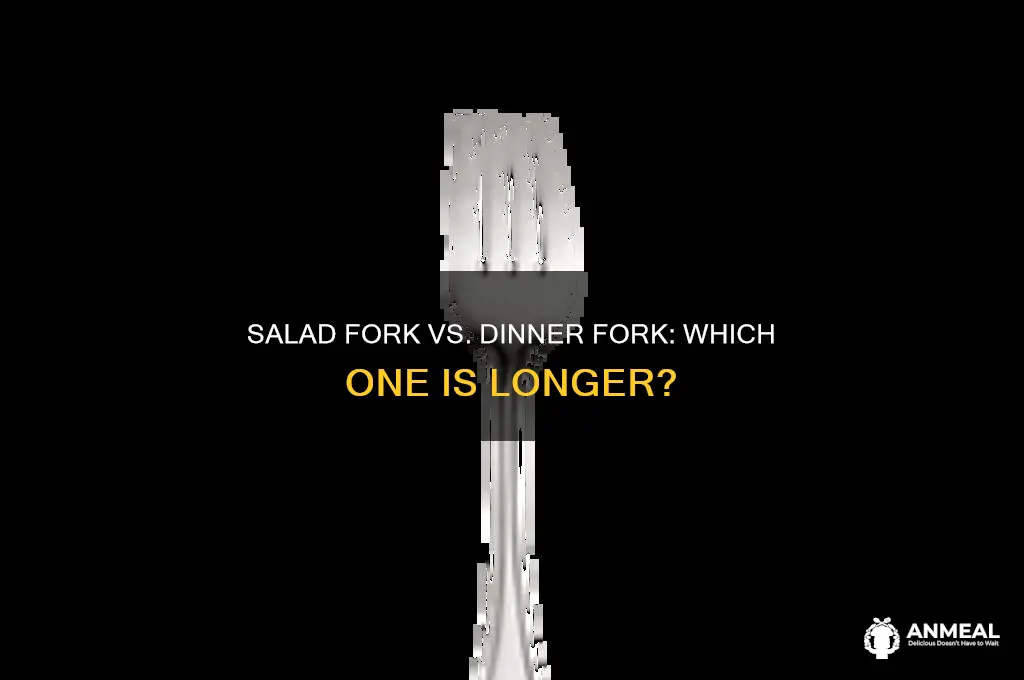 which fork is longer the salad fork or dinner fork