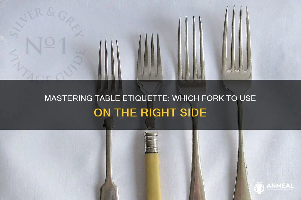 which fork right of dinner place