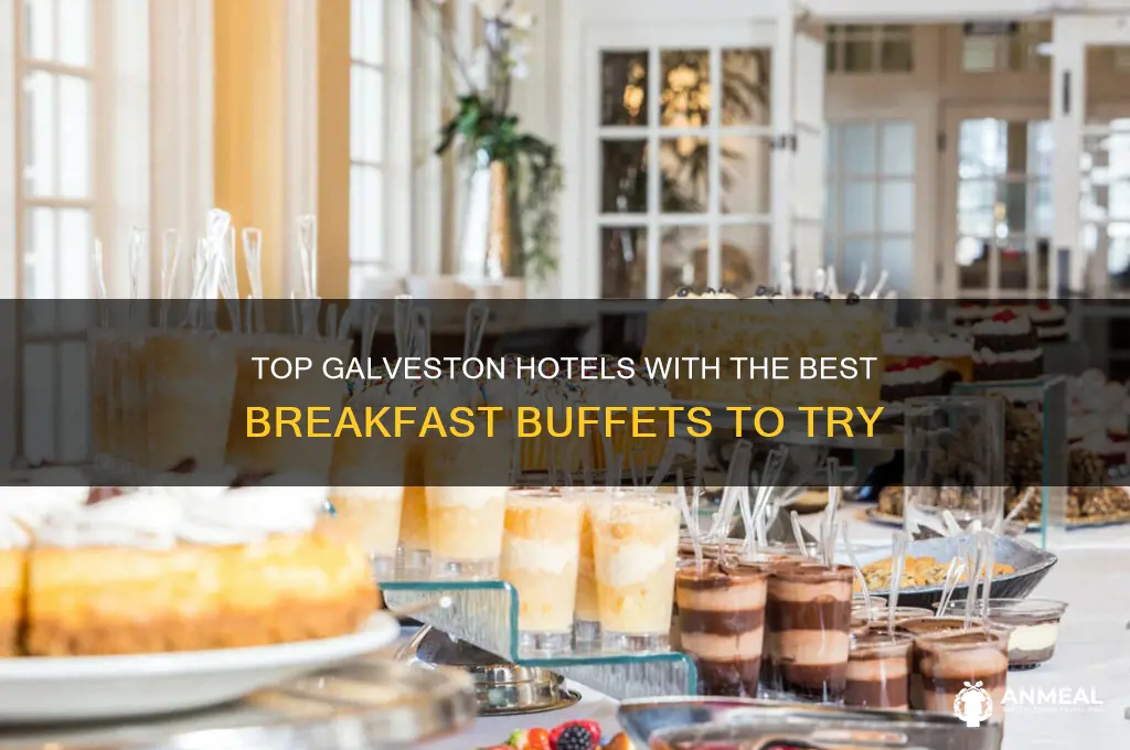 which galveston s hotels have the best breakfast buffet