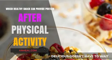 Fuel Your Recovery: High-Protein Snacks for Post-Workout Nutrition