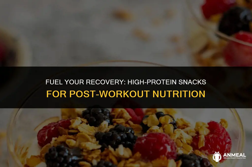 which healthy snack can provide protein after physical activity