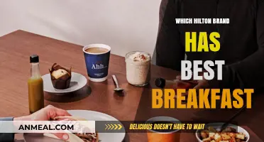 Discover the Hilton Brand Serving the Ultimate Breakfast Experience