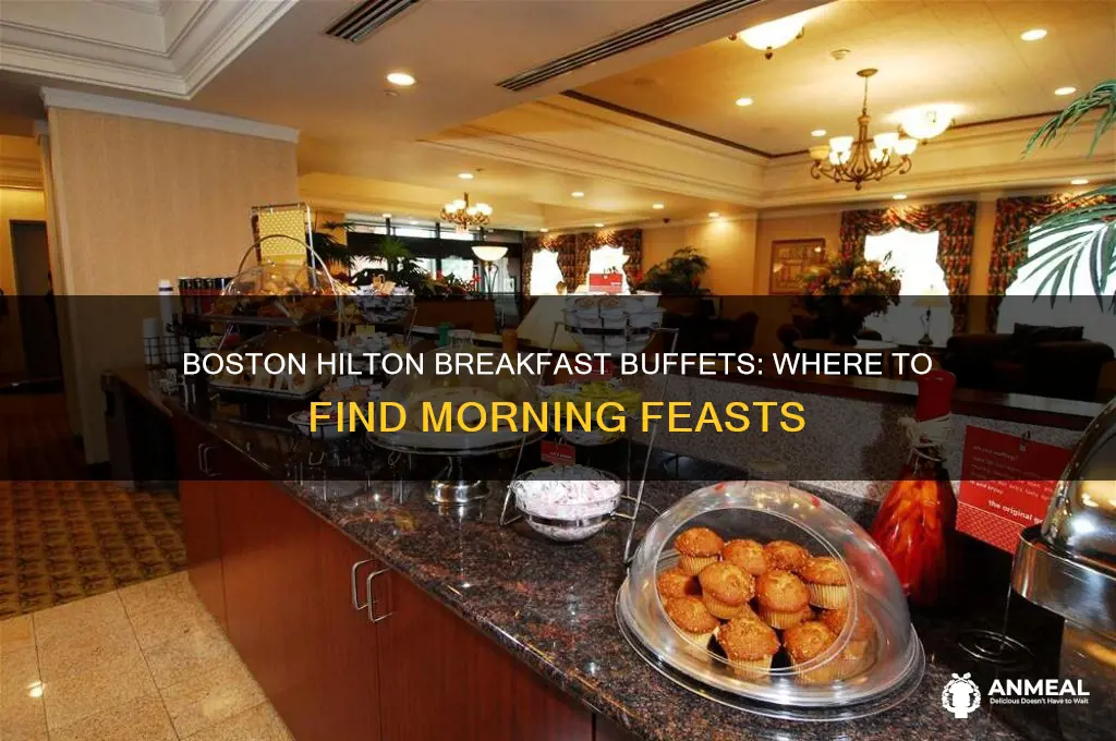 which hilton has breakfast buffet in boston