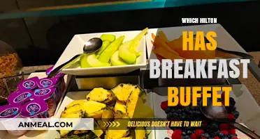 Discover Hilton Hotels Offering Delicious Breakfast Buffets for Guests