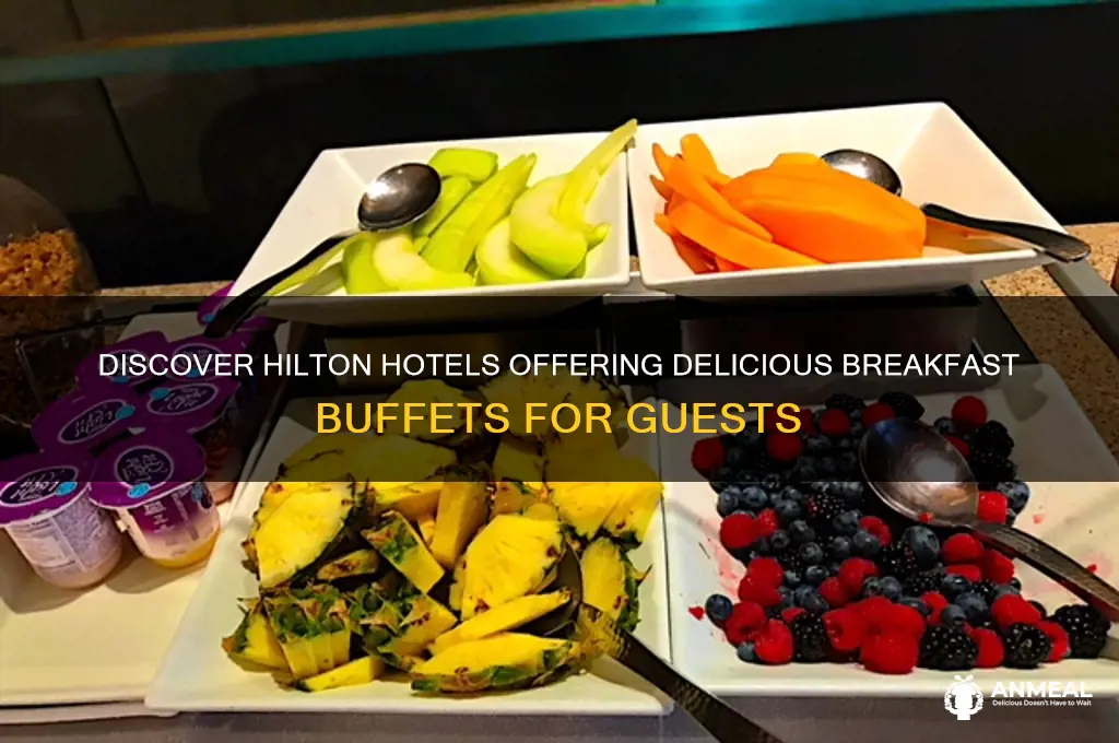 which hilton has breakfast buffet