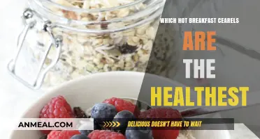 Nutritious Morning Fuel: Top Healthy Hot Breakfast Cereals to Try