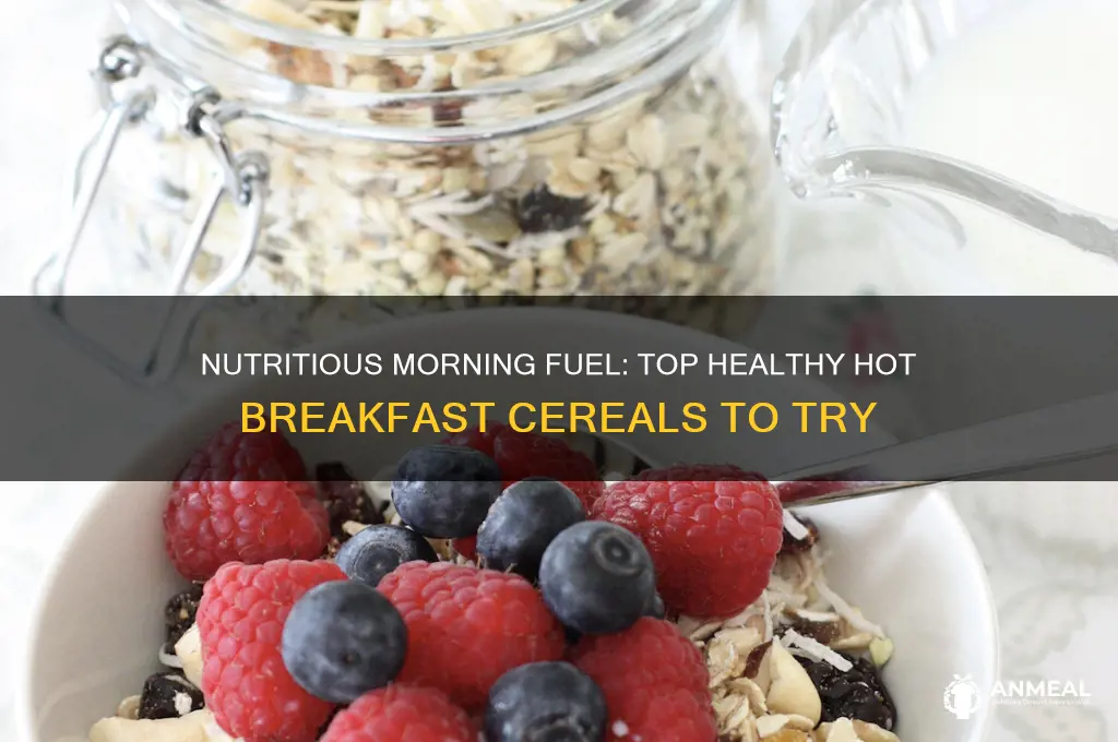 which hot breakfast cearels are the healthest