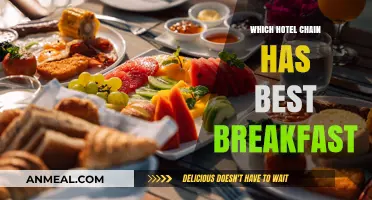 Top Hotel Chains Serving the Best Breakfasts for Travelers