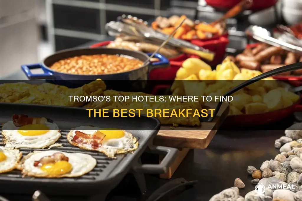which hotels in tromso have the best breakfast