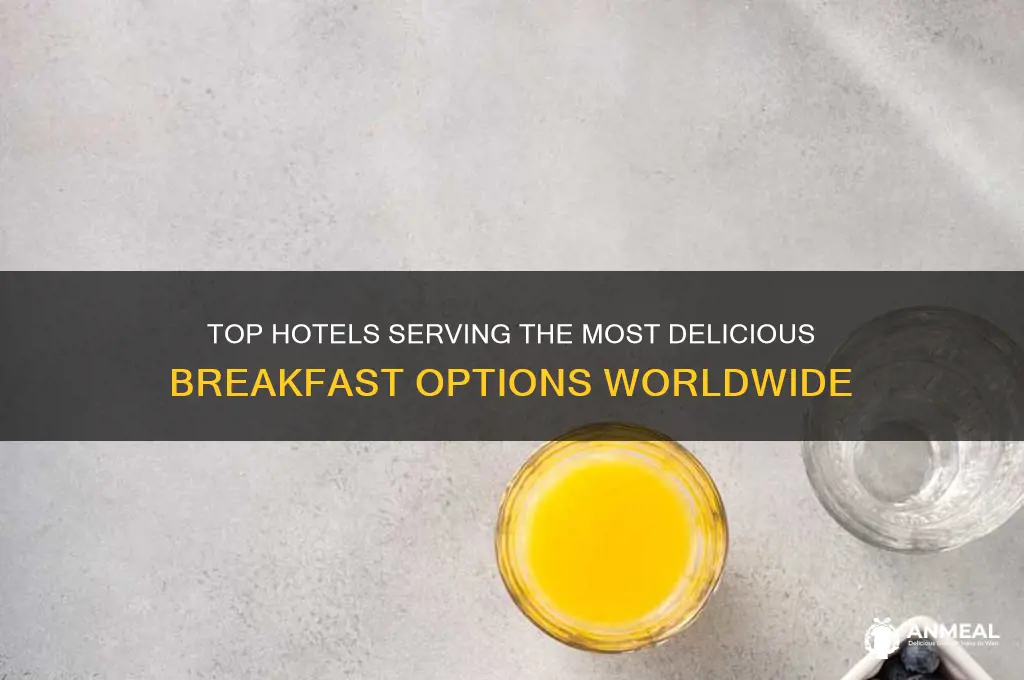which hotels offer the best breakfast options