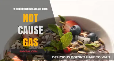 Gas-Free Indian Breakfasts: Light, Healthy, and Easy-to-Digest Options