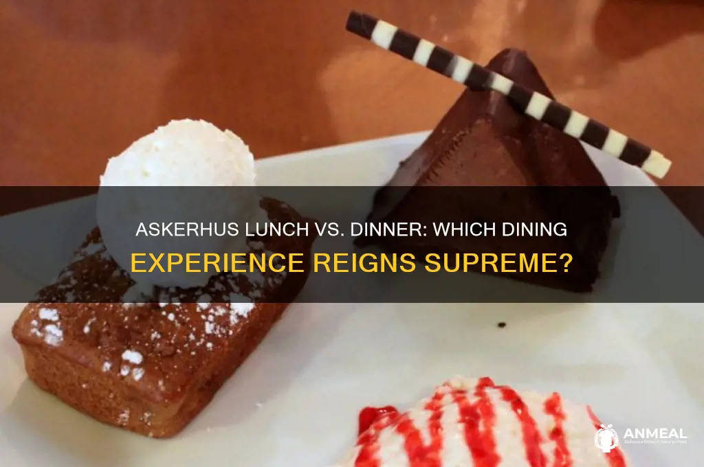 which is better askerhus lunch or dinner