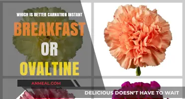 Carnation Instant Breakfast vs. Ovaltine: Which Boosts Your Morning Better?
