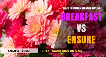 Carnation Instant Breakfast vs Ensure: Which Nutritional Drink Wins?