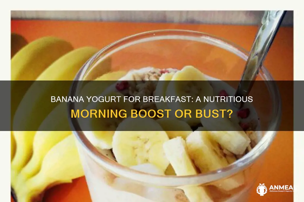 which is better for breakfast banana yougurt