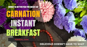 Boost vs. Carnation Instant Breakfast: Which Nutritional Drink Wins?