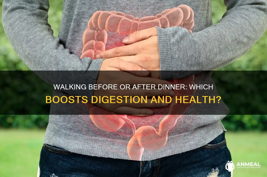 which is better walking before or after dinner