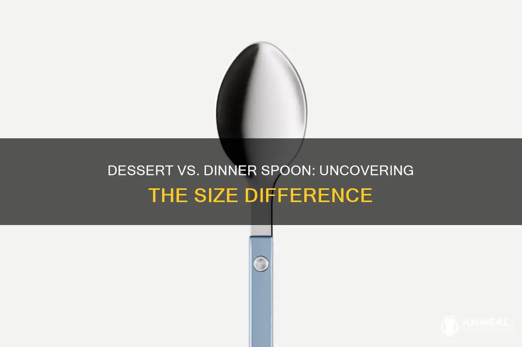 which is larger dessert or dinner spoon