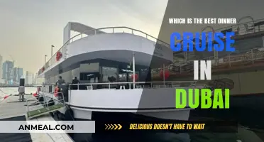 Discover Dubai's Top Dinner Cruise: A Luxurious Evening on the Water