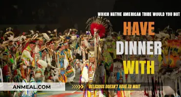 Uncomfortable Truths: Native American Tribes and Historical Misconceptions Explored