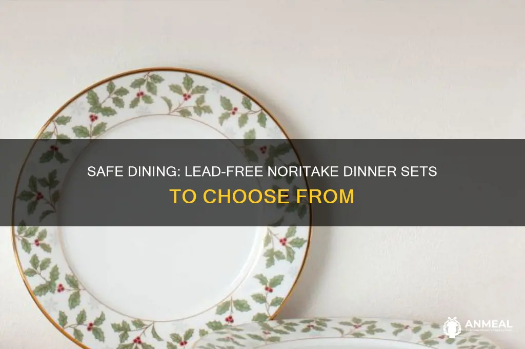 which noritake dinner sets are lead-free