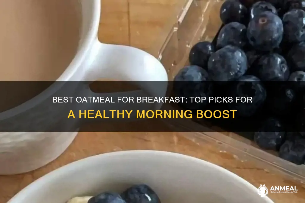 which oatmeal is best for breakfast