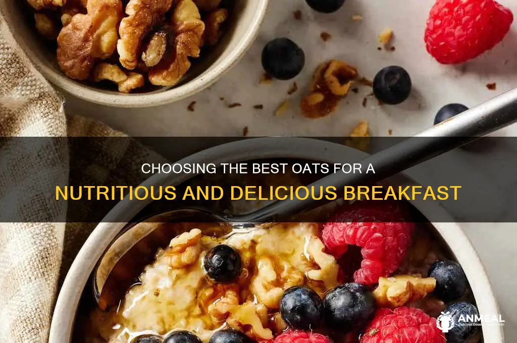 which oats to buy for breakfast