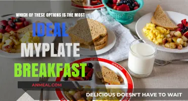 Perfect MyPlate Breakfast: Choosing the Most Ideal Option for You