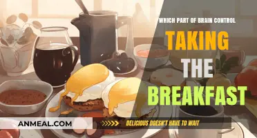 How Your Brain's Decision-Making Centers Influence Breakfast Choices