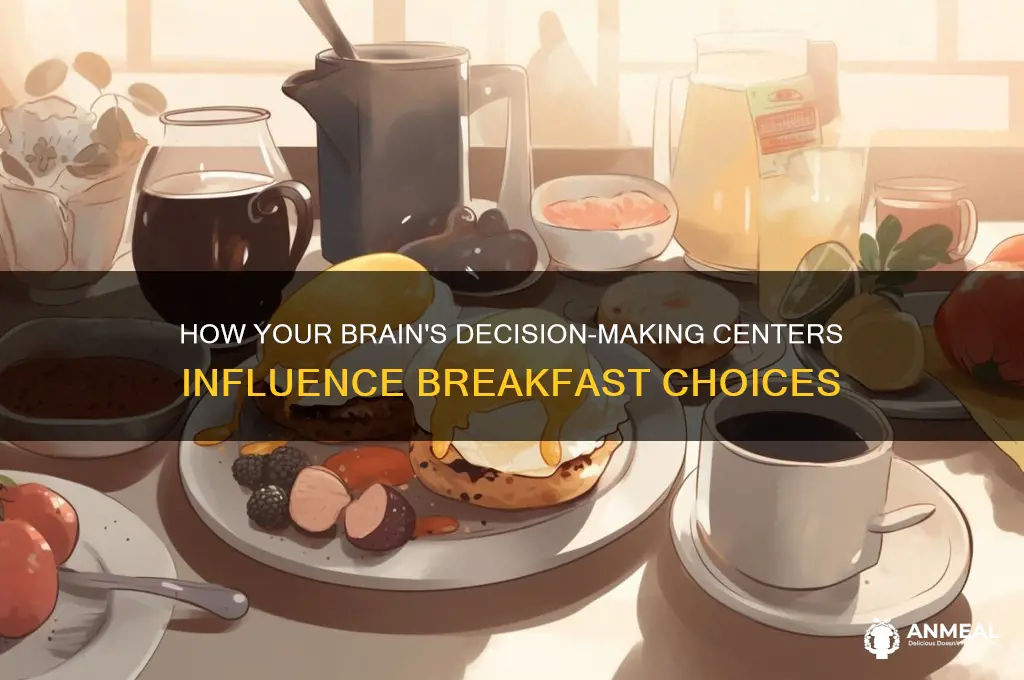 which part of brain control taking the breakfast