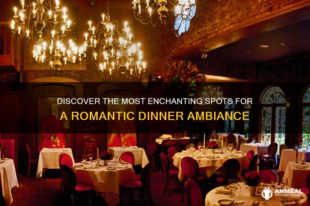 which place has the best ambiance for a romantic dinner