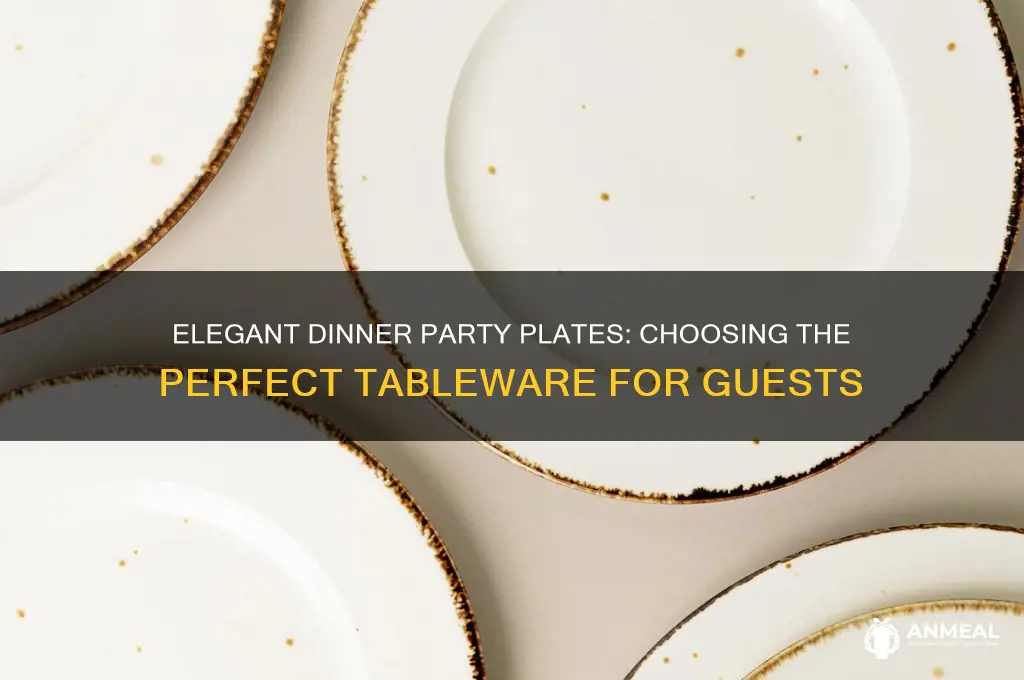 which plate to use at a dinner party