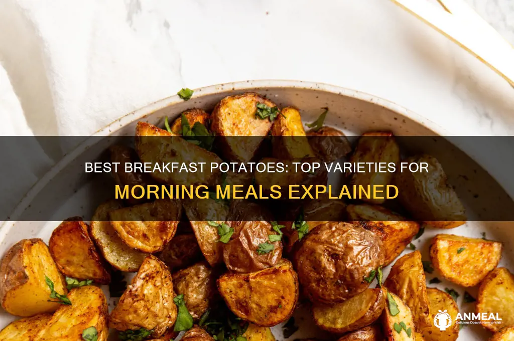 which potatoes are best for breakfast