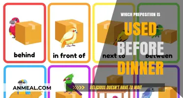 Choosing the Right Preposition: Before, After, or During Dinner?