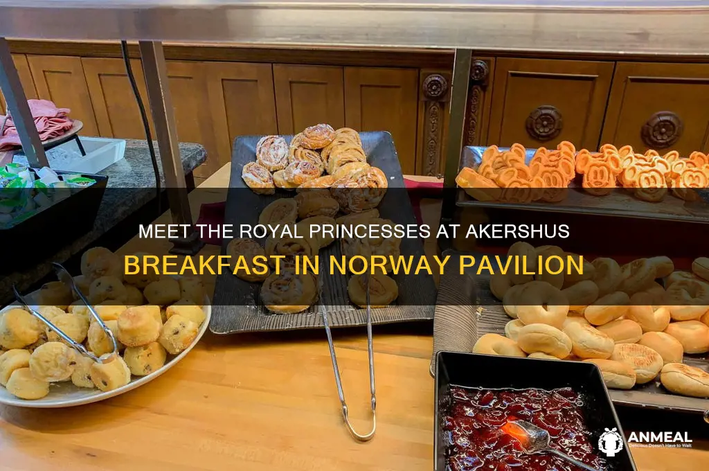 which princesses are at akershus breakfast